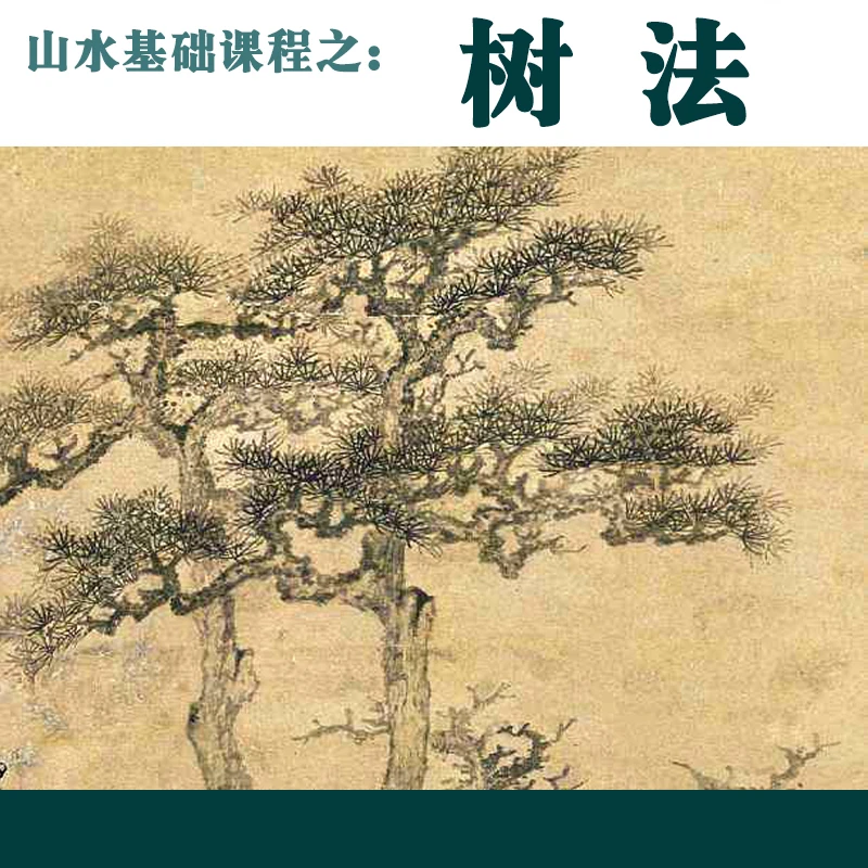 国画山水基础课程：树法