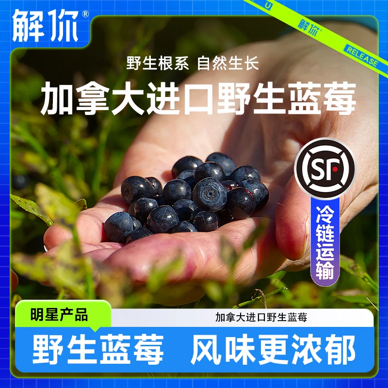 解你【顺丰冷链】北美加拿大冷冻野生蓝莓手工摘新鲜小蓝莓2斤/6斤