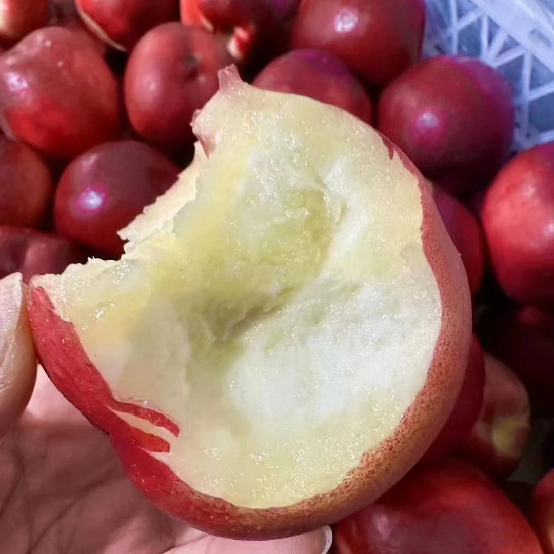 麒麟 智利麻脸油桃4斤