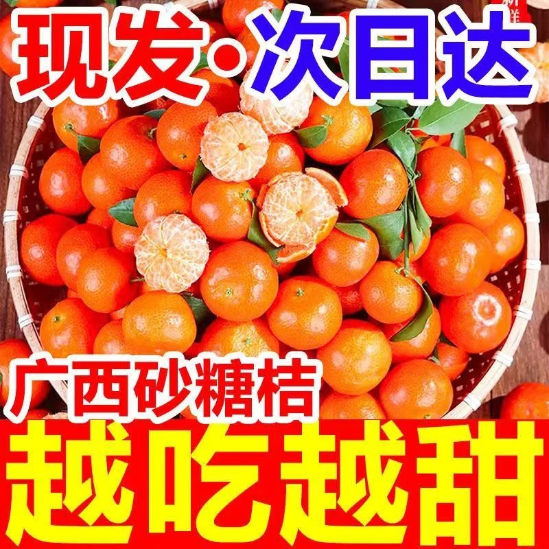 正宗广西沙糖桔无籽整箱水果薄皮特级砂糖橘小橘子1斤孕妇9斤包邮