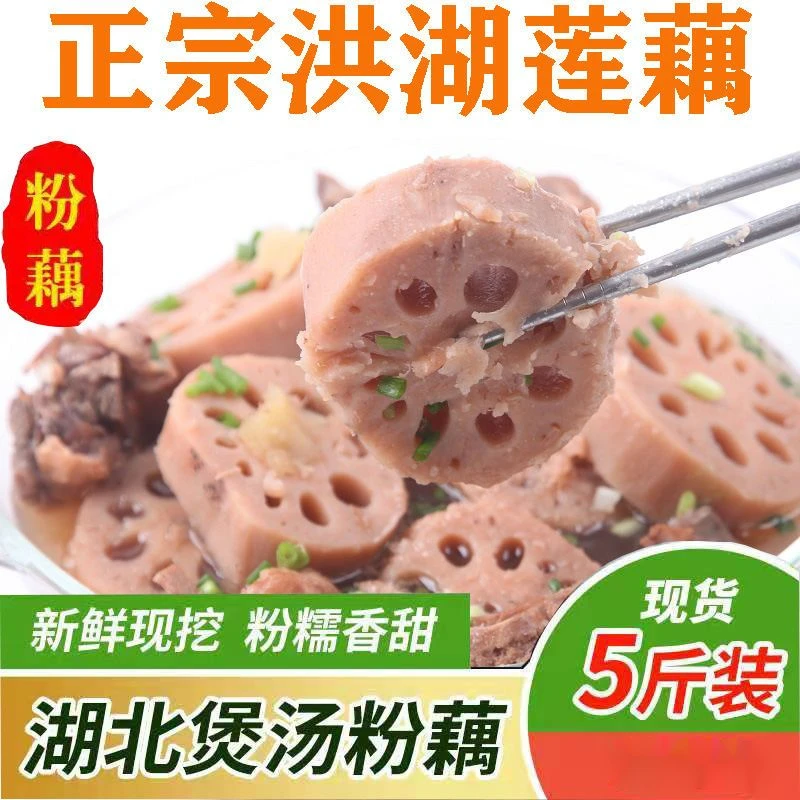洪湖粉藕新鲜莲藕湖北特产糯米藕现挖泥巴藕煲排骨藕汤1斤5斤包邮
