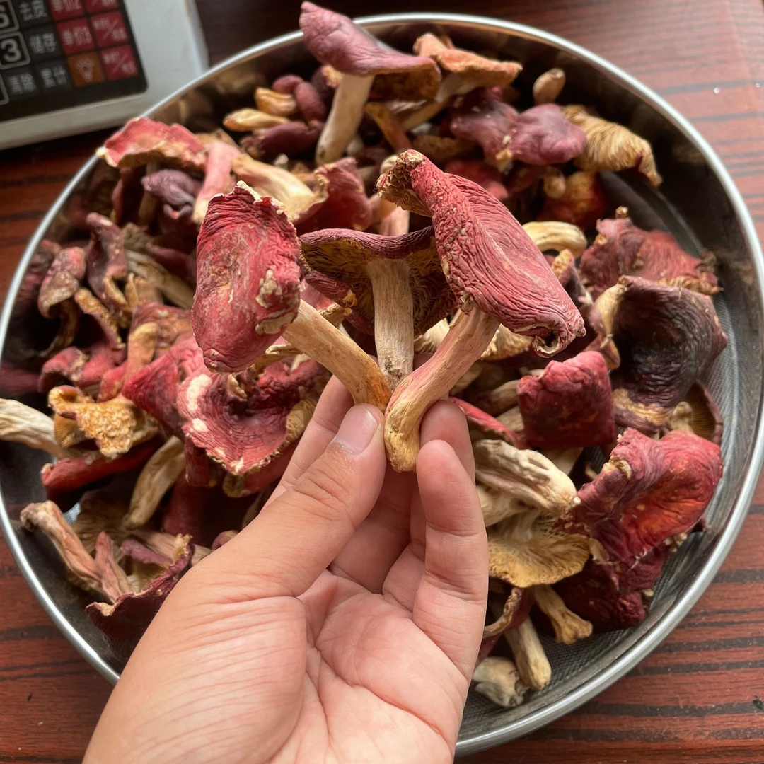 云南二红红菇干货新货煲汤鲜甜大红菌子食用菌250g