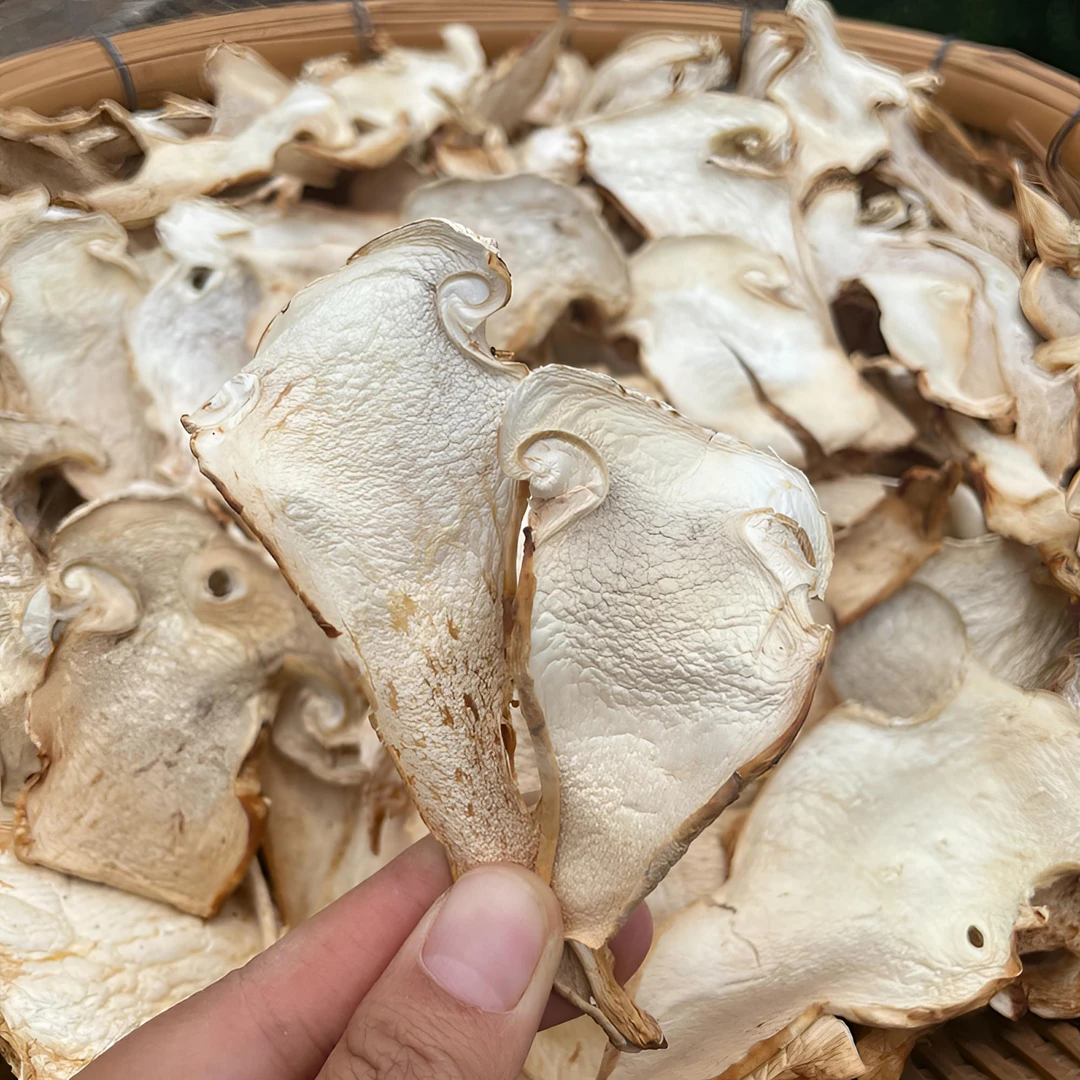 云南山货老人头精选嫩片250g新货仙人头松苞菇煲汤鲜美嫩脆特产