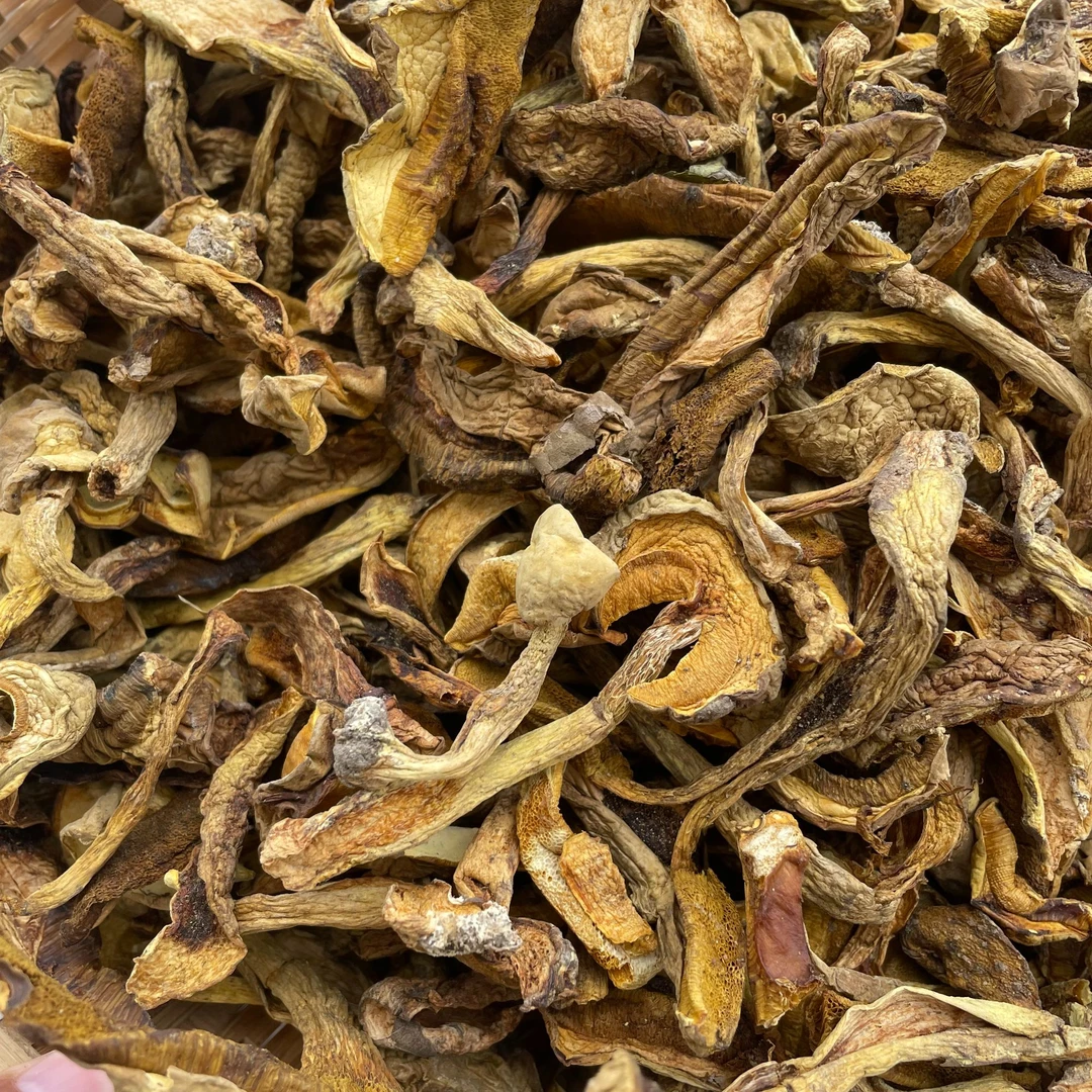 2024新货黄牛肝菌黄香牛肝菌小嫩片250g煲汤鲜美嫩脆香云南特产