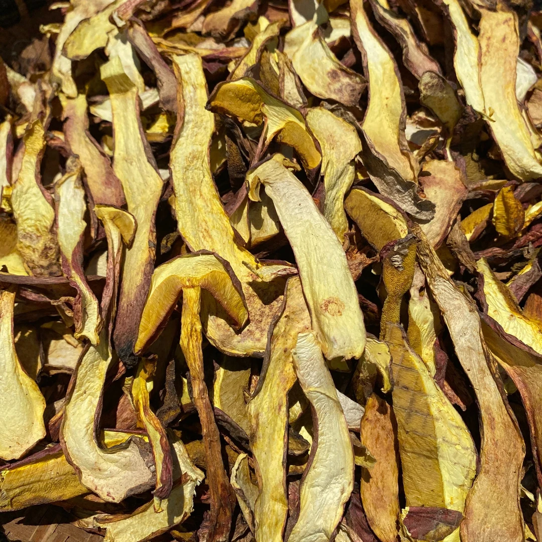 2024新货红葱牛肝菌精选嫩片云南头茬牛肝菌100g-500g清脆滑嫩