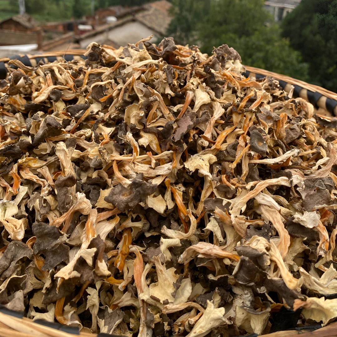 云南桂花鸡油菌干菌中大朵金丝菌喇叭菌云南丽江菌子食用菌250g