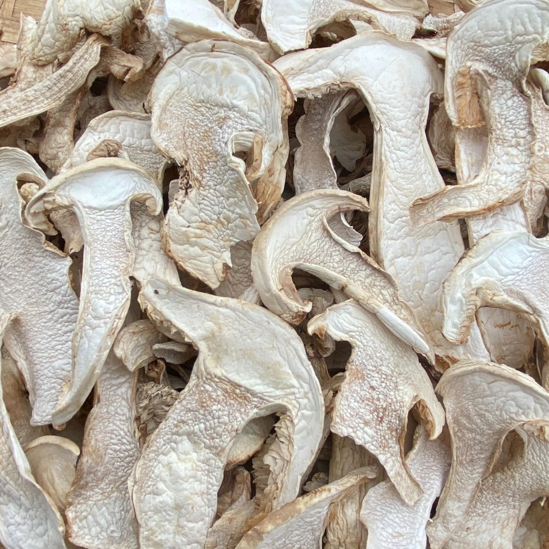 云南正宗香格里拉松茸片精选干货100g松茸片煲汤鲜美鲜脆嫩黑松茸