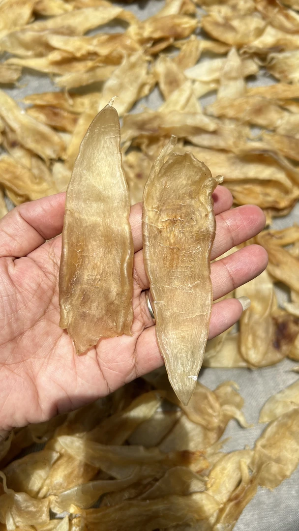 广东汕头南澳——老尖尾赤嘴