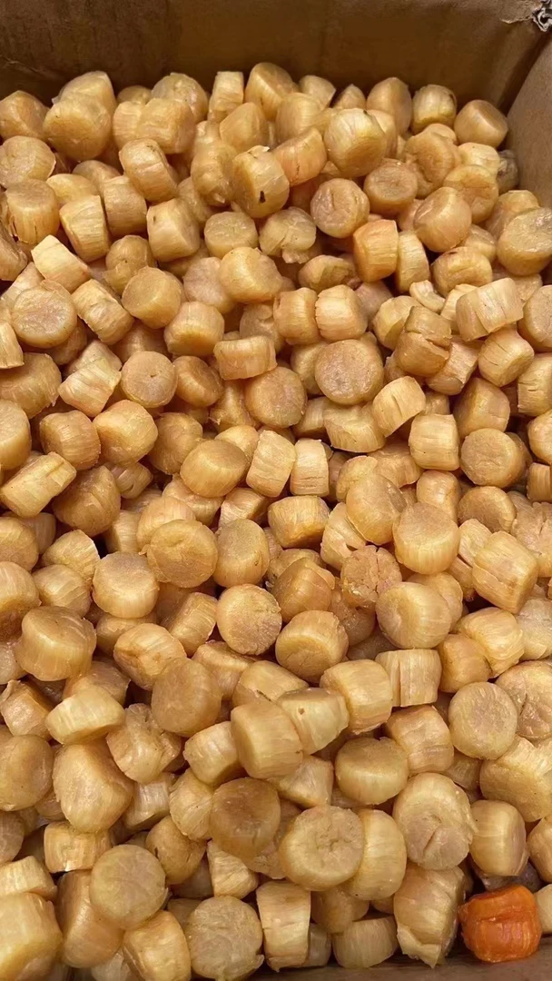 大连元贝干货瑶柱海鲜煲汤煲粥营养美味