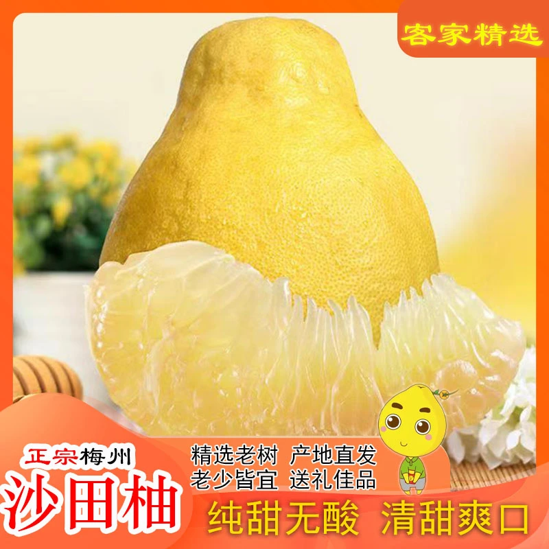 【辉哥专属】正宗梅州沙田柚现摘现发特产应季鲜果新鲜12斤6个整箱