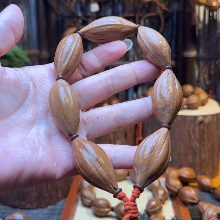 橄榄核手串苗*石梅林大揽