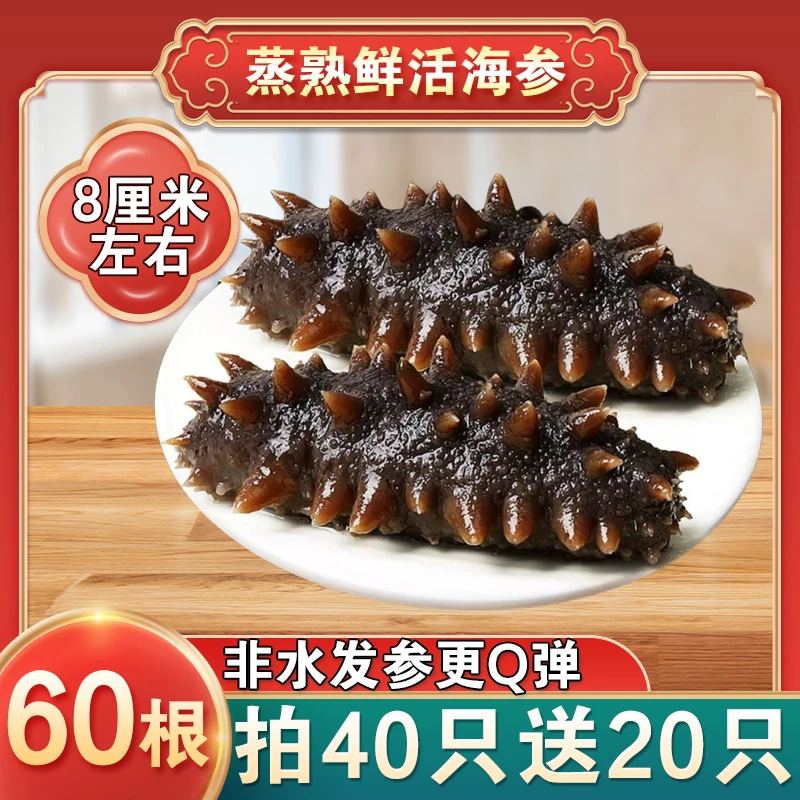 【非水发更Q弹】鲜蒸即食海参拍40根送20根独立包装顺丰包邮