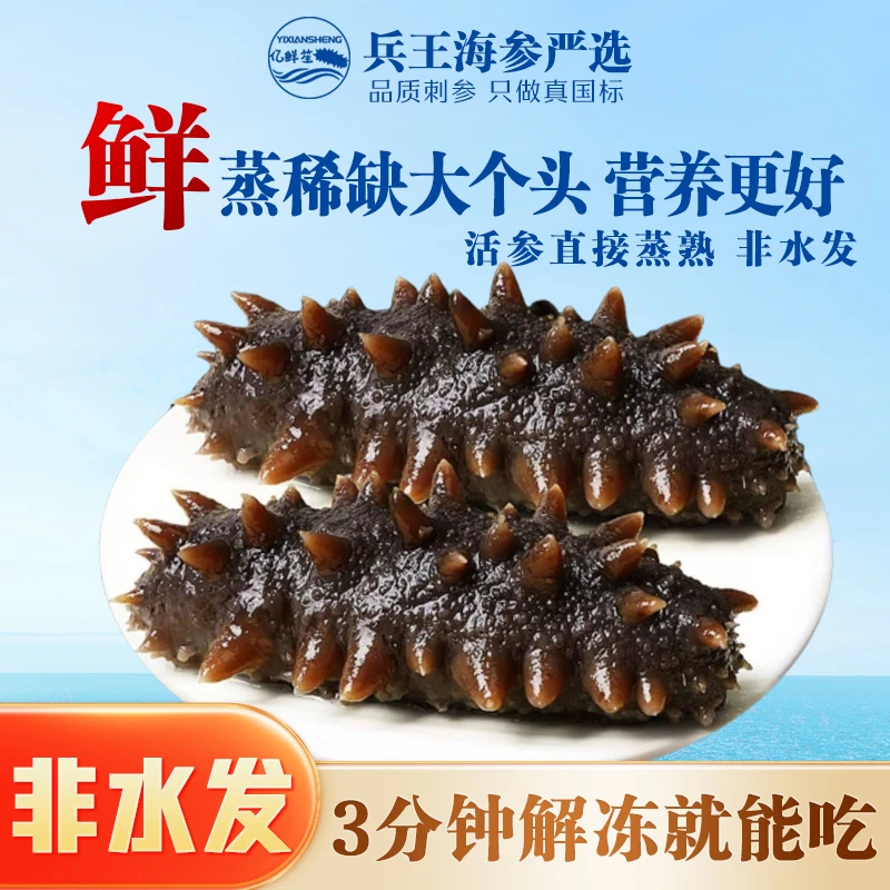 【双十一大促】鲜蒸稀缺大个头大连底播辽刺参顺丰包邮7-10厘米3斤