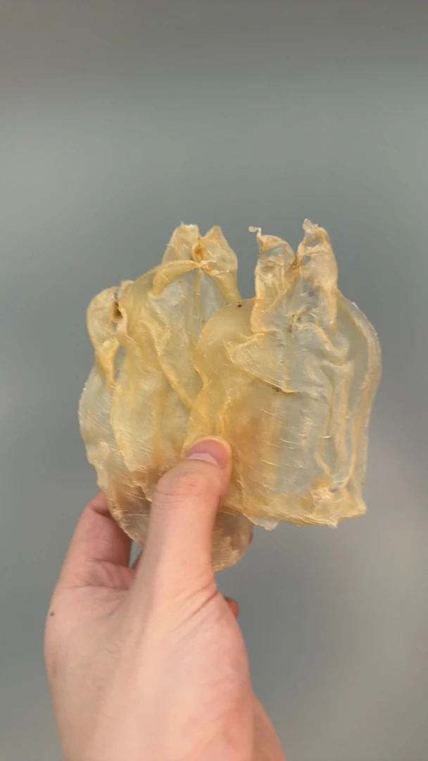 广东 甲肚胶秋冬滋补 推荐