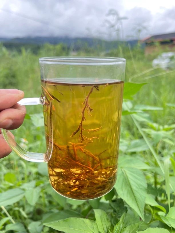 平安山货/现收【旰/宝】滋补滇缅山货农户自采