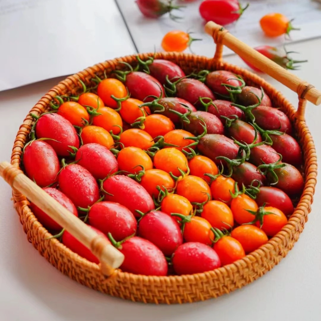 福建三色小番茄黄金紫弹头迷彩小红茄圣女果3斤组合小西红柿