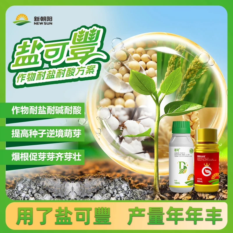 【盐可豊】耐盐耐酸棉花大豆小麦水稻种子逆境萌芽爆芽新朝阳正品