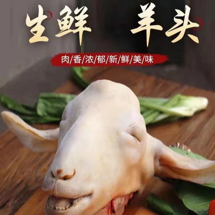 新鲜羊头整只头羊带皮冷冻新鲜生羊头整个带皮羊头生鲜羊头肉