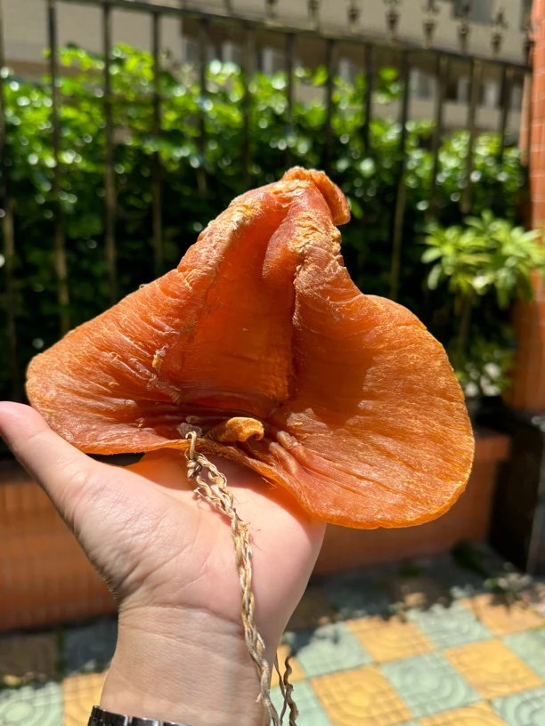 飘飘姐 石肚赤嘴公胶