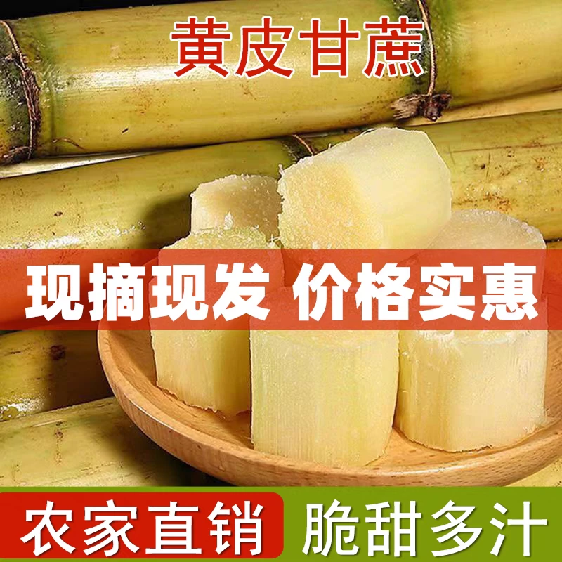 广东黄皮甘蔗脆甘蔗新鲜现砍脆甜多汁当季水果特产