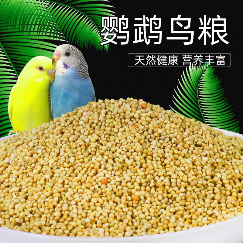 鹦鹉粮食营养丰富虎皮牡丹中小型专用谷子小米饲料