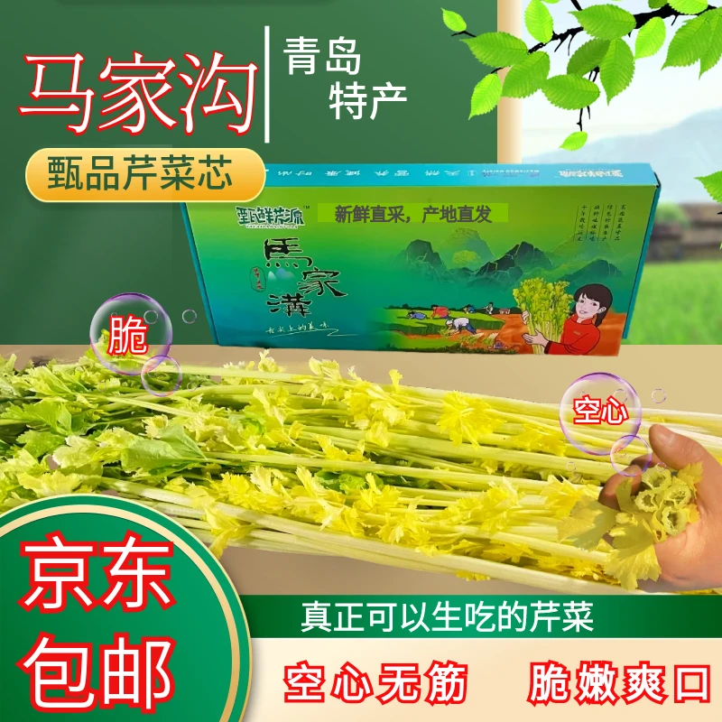 山东平度空心无筋马家沟芹菜2斤3斤4斤礼盒清脆新鲜爽口原产地