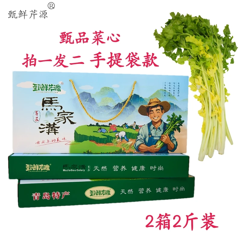 山东平度空心无筋马家沟芹菜手提袋4斤礼盒清脆新鲜爽口原产地