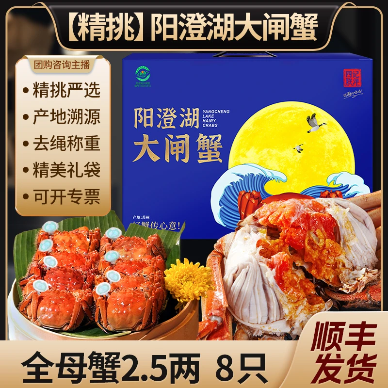 【活蟹】阳澄湖大闸蟹 全母蟹2.5两8只礼盒装 四记联洋塘养