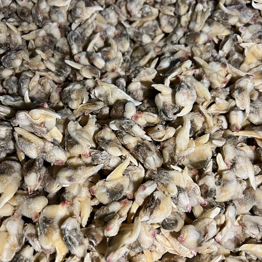 福利大促小黄蚬子肉