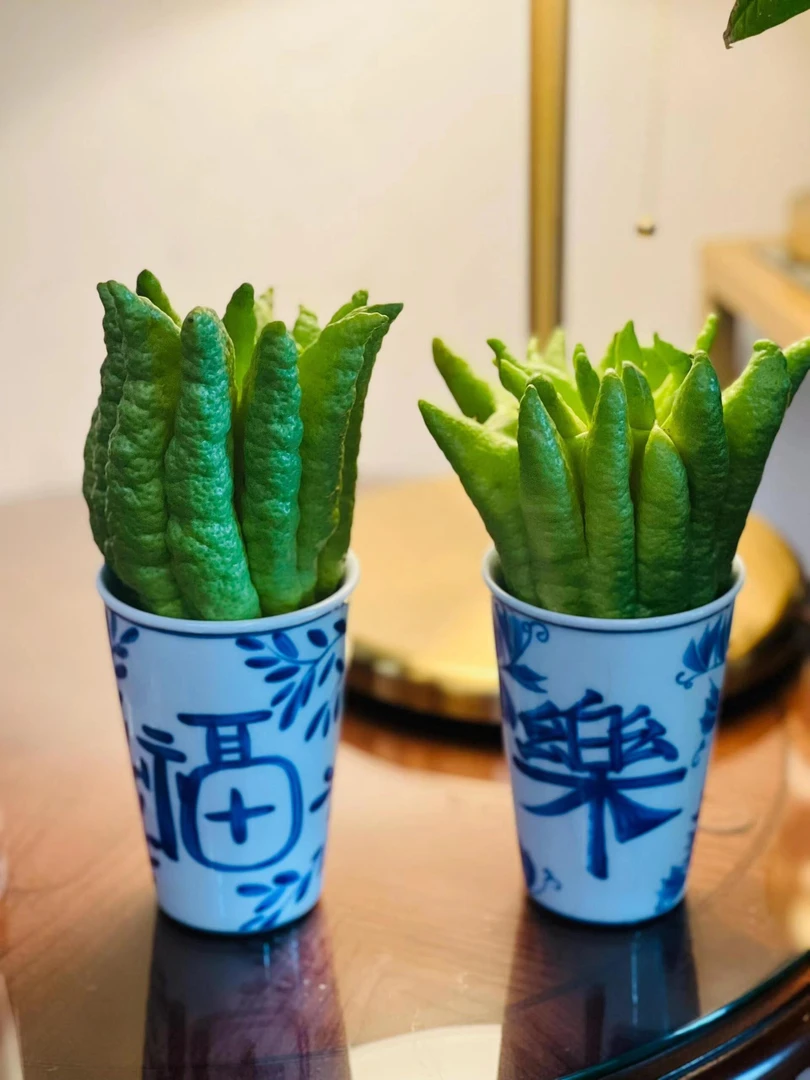 【云佛橼】观赏果-福寿云南佛手柑水培插花清供观赏手玩 天然香薰