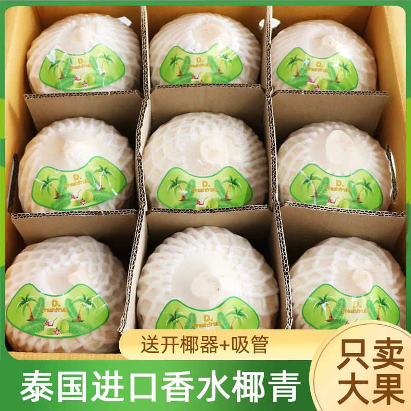 品牌随机发货泰国奶香椰子泰国香水椰青整箱新鲜【现货速发】