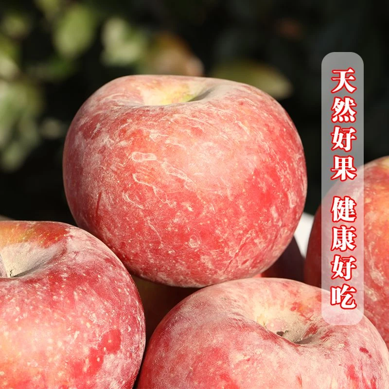 正宗阿克苏苹果脆甜冰糖心丑苹果5斤9斤苹果冰糖心脆甜多汁新鲜好