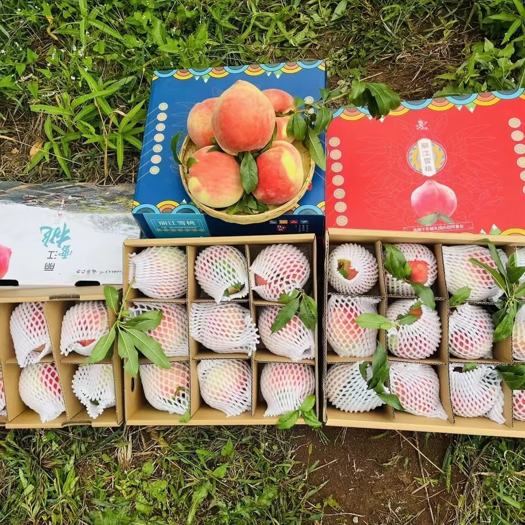 [拉海直发]正宗丽江雪桃新鲜现摘秋桃精选脆甜爽香甜爽口鲜嫩多汁