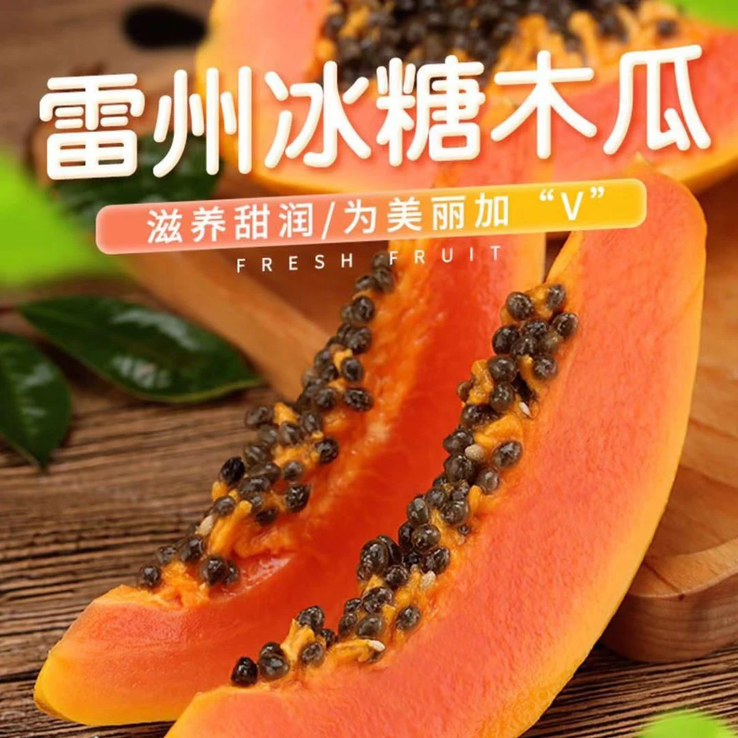 海南树上熟红心木瓜现摘现发/雷州牛奶木瓜天然新鲜香甜5斤8斤9斤