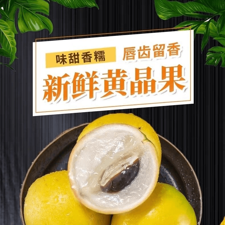 正宗海南黄晶果冬蜜黄晶果1斤8斤顺丰发货精选热带水果牛奶果冻果