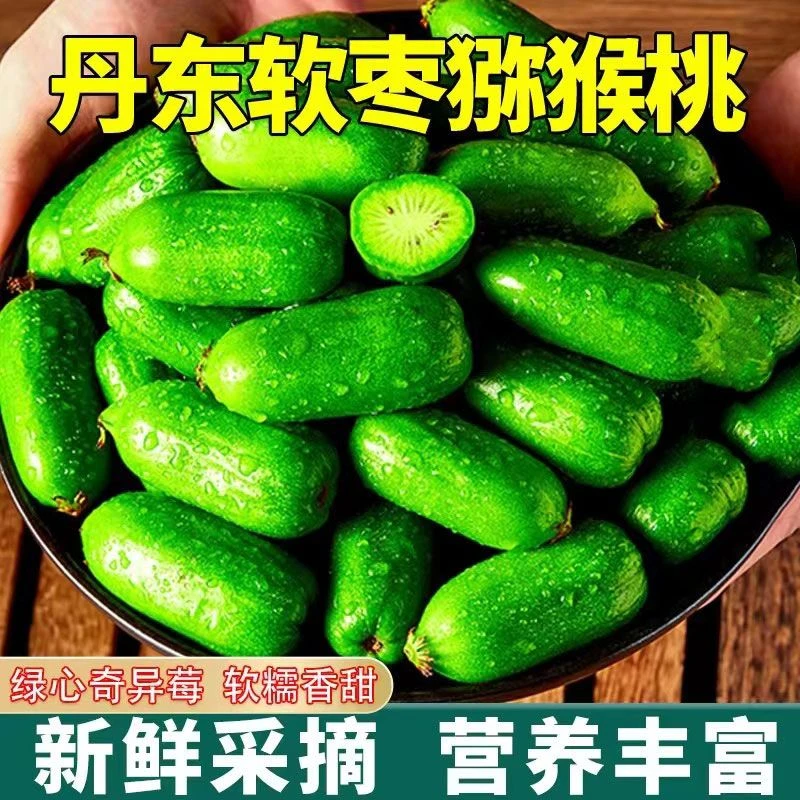【顺丰上门】丹东软枣猕猴桃新鲜猕猴桃绿心奇异莓现摘现发催熟食用
