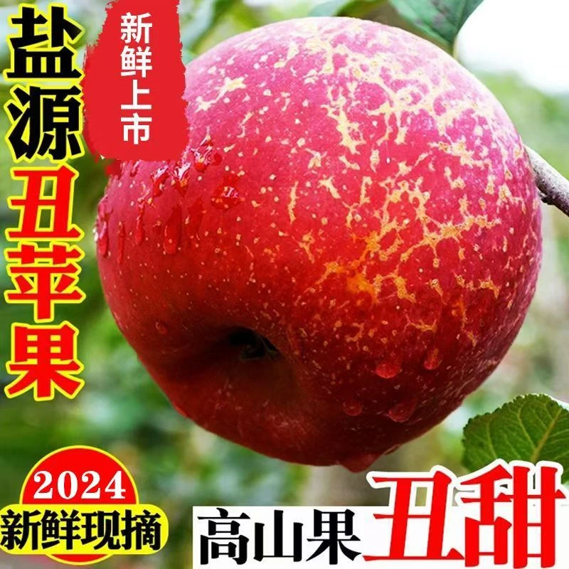 【产地直发】正宗盐源糖心丑苹果大凉山冰糖心丑苹果苹果冰糖心脆甜