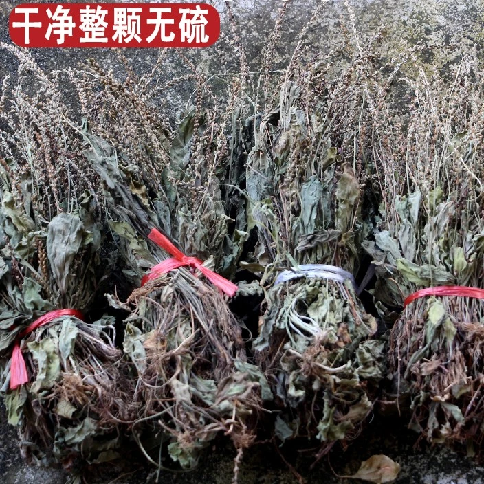 车前草干净整颗干货小叶金钱草今年新货250g1斤2斤3斤江西赣南