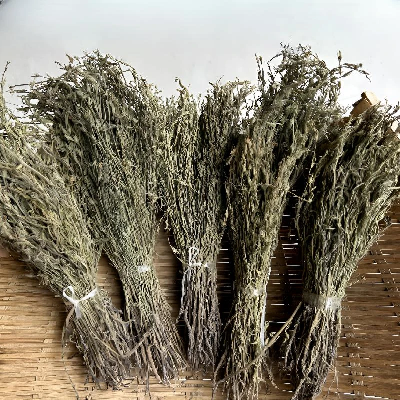 江西独脚金甘积草孩儿草黄花草新货煲汤青绿独角金20克包邮