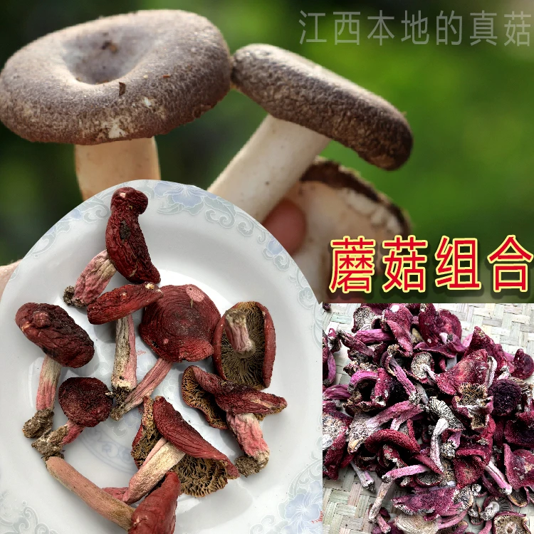 江西蓝底正红菇干货高山红菌月子菇正宗可煲汤