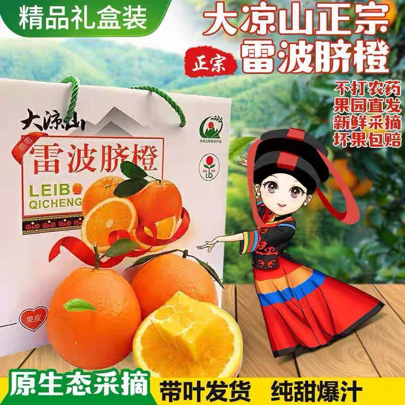 四川正宗大凉山纽荷尔雷波脐橙当季鲜水果现摘现发孕妇小孩礼盒装