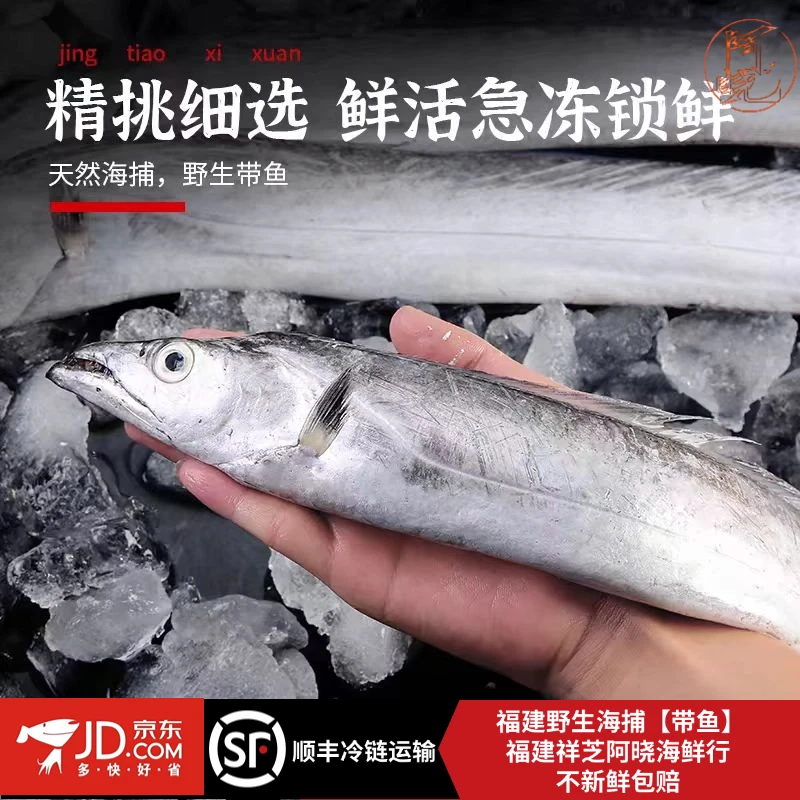 福建船捕【白眼带鱼】小眼油带鱼整条发货渔船直供