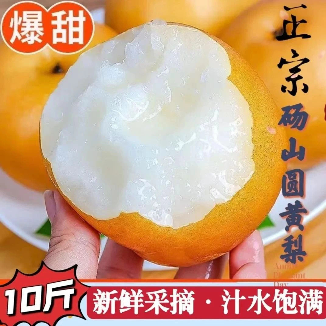 安徽砀山酥梨圆黄梨脆甜多汁秋月梨新鲜当季孕妇水果黄皮梨
