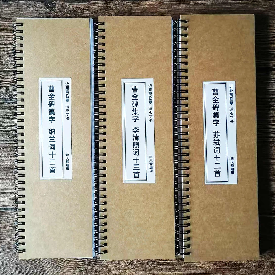 【耘天斋】曹全碑杜甫纳兰词陆游苏轼李清照辛弃疾曹操等临摹字卡