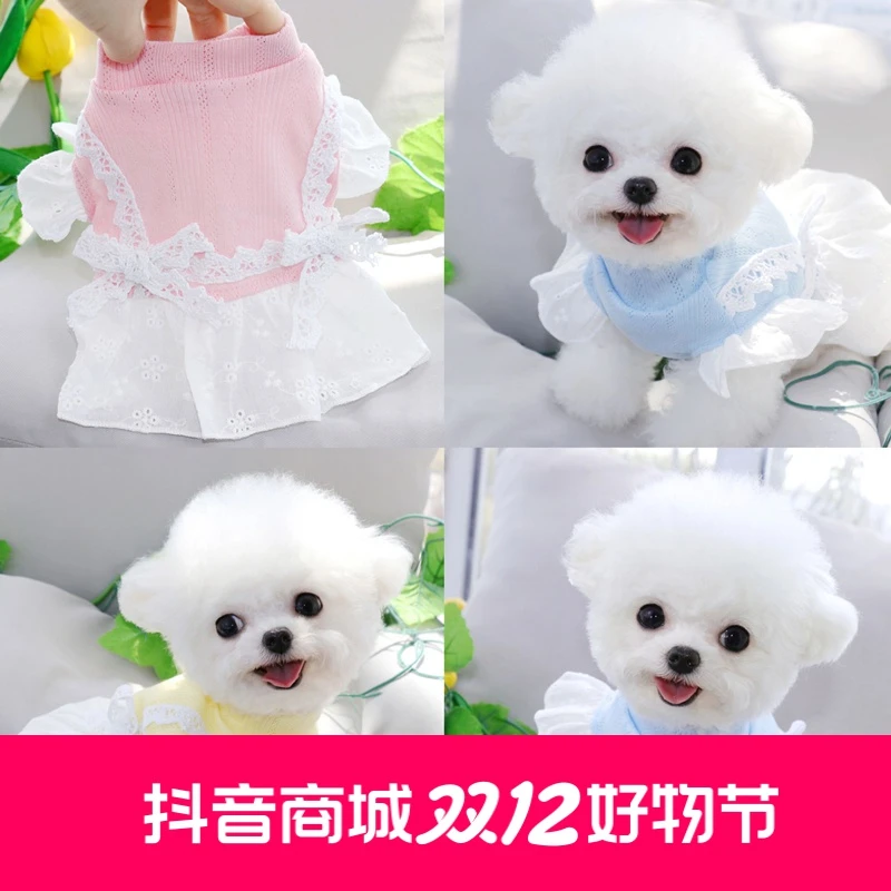 泰迪小狗狗公主裙子夏季衣服宠物吉娃娃小型犬比熊博美春夏薄款