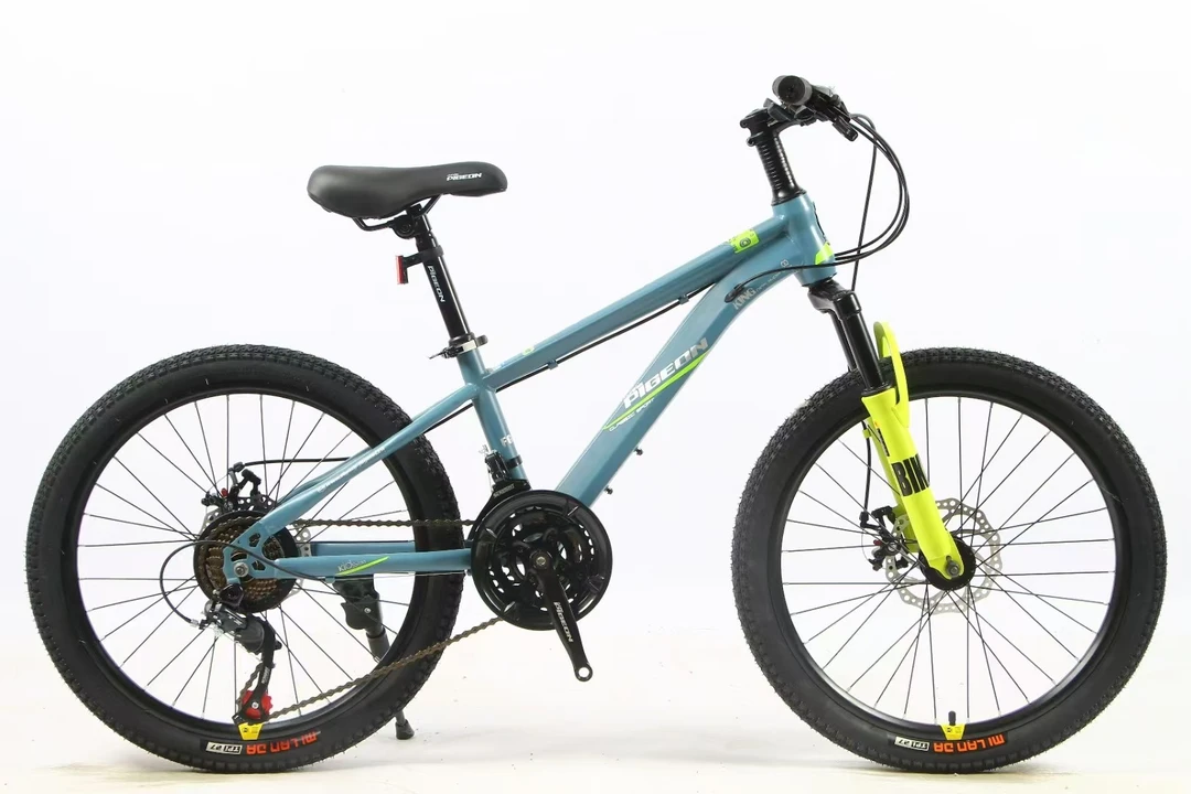 FLYING PIGEON/飞鸽22变速学生车钢碳钢车架三套密封轴承