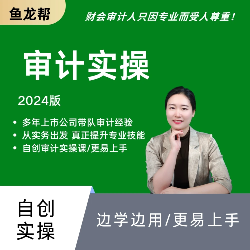 鱼帮主审计实操课