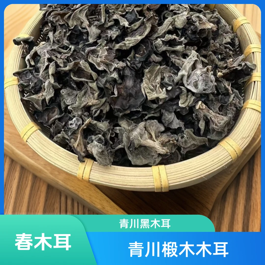 【春木耳】青川黑木耳 椴木种植肉厚脆爽 火锅炒菜食材 无沙干净