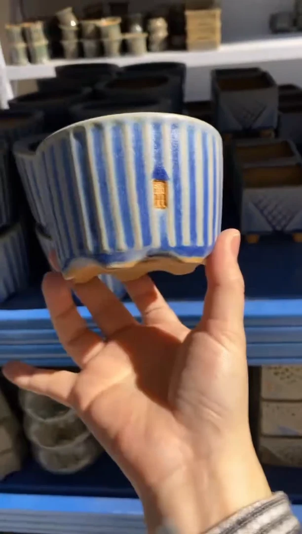 【闪购商品】红陶15cm以下1-1批量66默认微瑕