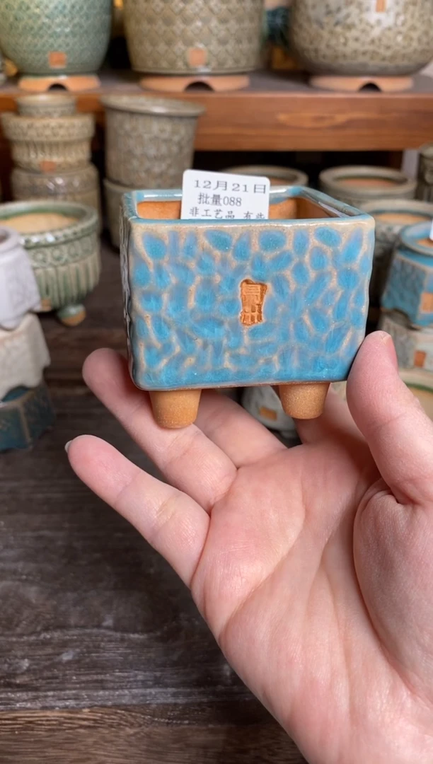 【闪购商品】红陶15cm以下12-21批量88默认微瑕